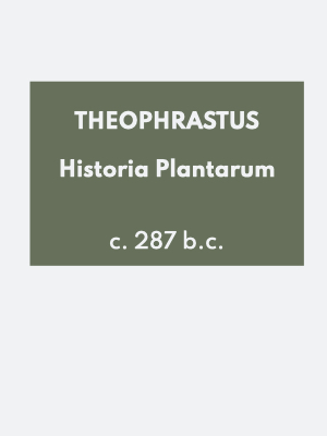 Theophrastus